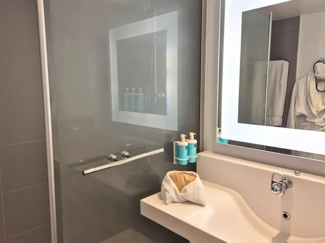 Executive, Double Bed, Sofa, Novotel Bordeaux Centre 9/9
