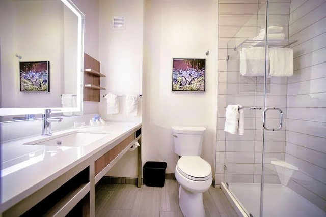 غرفة بسرير مزدوج بإطلالة على الجبل، Hilton Garden Inn Santa Barbara/Goleta 3/3