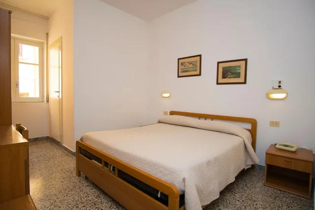 Room, Double Bed, Albergo Delfino 4/10