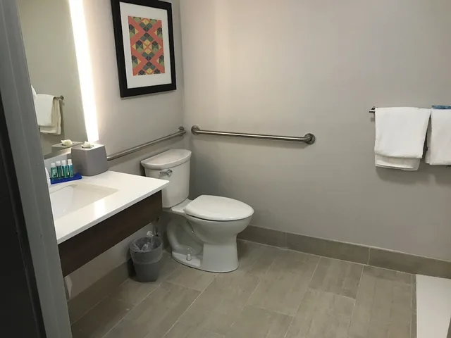 غرفة قياسية بسرير كينج لذوي الإعاقة، Holiday Inn Express Naples South I 75 4/5
