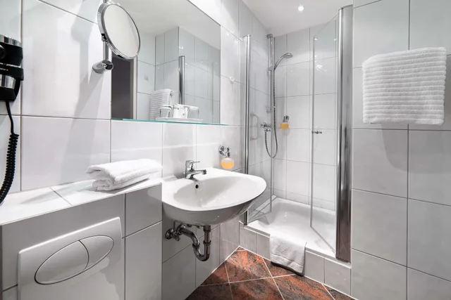 Standard, Single, Best Western Plus Hotel St. Raphael 4/10