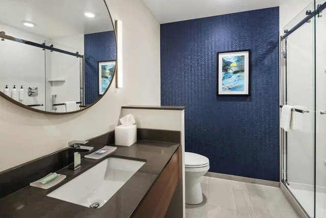 استوديو بسرير كينج مع أريكة لذوي الإعاقة، Fairfield Inn & Suites by Marriott Cedar Rapids North 4/7