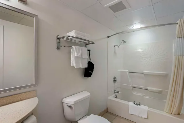 Suite, King Bed, Sofa, Best Western Dubois Hotel 4/6