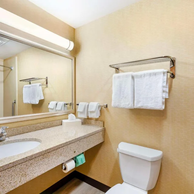 غرفة بسرير كينج بحوض استحمام لذوي الإعاقة، Best Western Plus Victor Inn & Suites 8/8