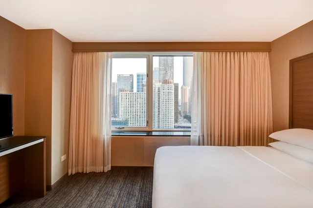 جناح بريميوم بسرير كينج مع أريكة، Embassy Suites by Hilton Chicago Downtown Magnificent Mile 4/7