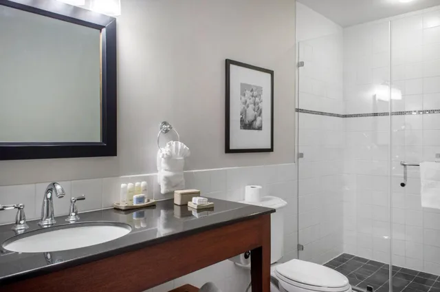 Hospitality, Loft, Suite, King Bed، The Riverfront Hotel New Orleans 4/5