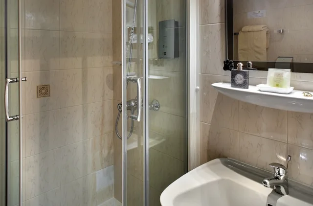 Superior, Double Bed, Hotel Du Midi 6/6