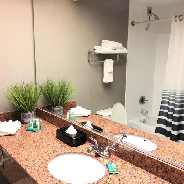 جناح بسرير كينج، Capital Plaza Hotel 5/5