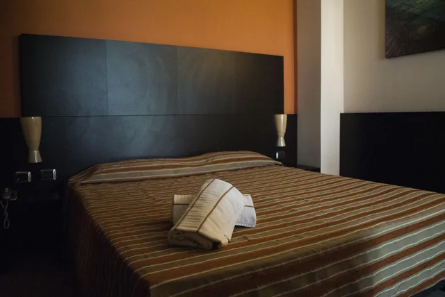 غرفة كومفورت بسرير مزدوج، Vercelli Palace Hotel 2/2