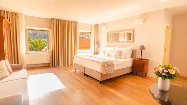 جناح جونيور بسرير كينج بغرفة نوم واحدة، Hotel Golden Key Prague 1/2