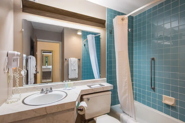 Business, King Bed, Cayuga Blu Hotel 3/3