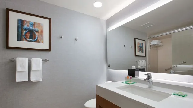 غرفة بسريرين كوين مع أريكة في طابق مرتفع، Hyatt Place Chicago-South/University Medical Center 1/1