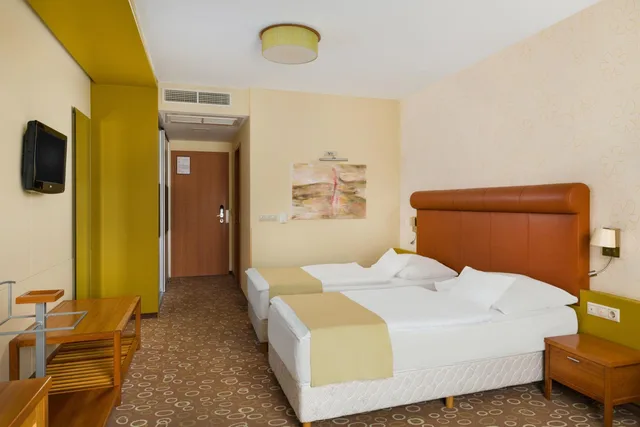 غرفة قياسية بسرير مزدوج أو سريرين منفصلين، Corso Hotel Pecs 3/9