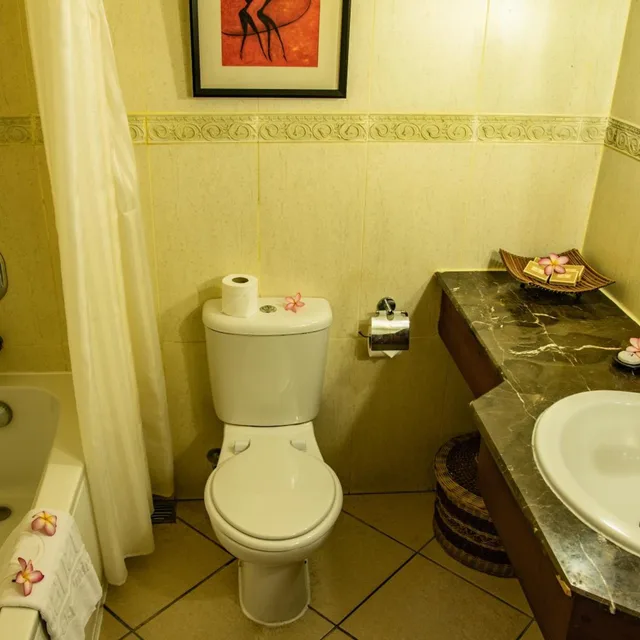 غرفة قياسية بسرير مزدوج أو سريرين منفصلين، Aanari Hotel and Spa 7/10