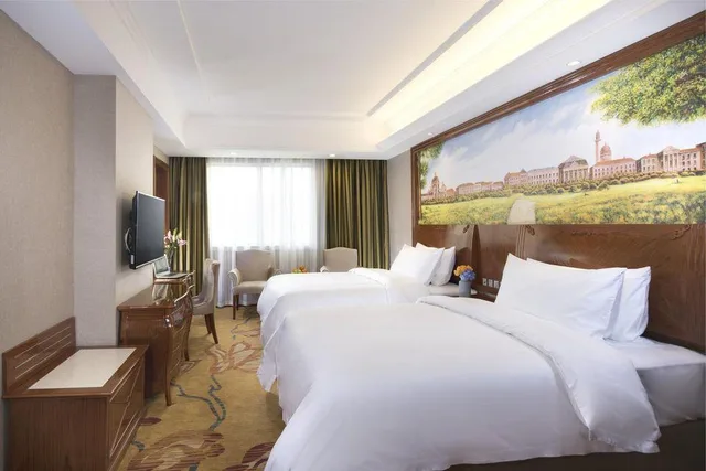 غرفة سوبيريور بسريرين، Vienna Hotel (Longmen) 1/1