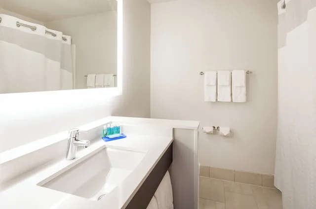 غرفة قياسية بسرير كينج، Holiday Inn Express Suites Minneapolis Downtown 4/5