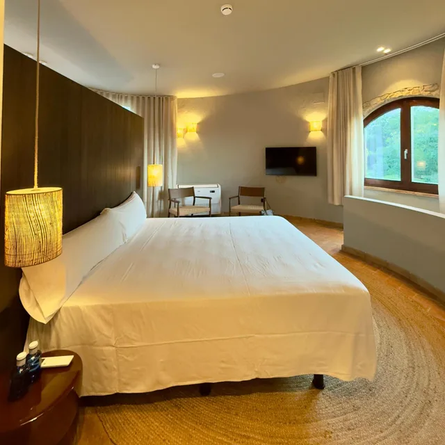 جناح سوبيريور، Hotel Mas Salvi 3/4