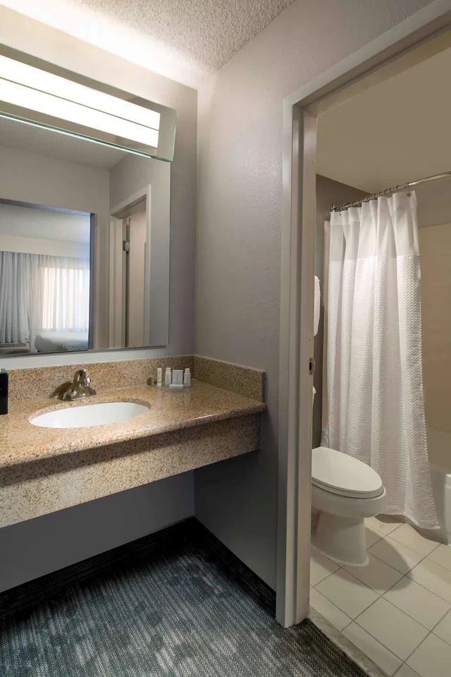 جناح بسرير كينج بإطلالة على المسبح بغرفة نوم واحدة مع أريكة، Sonesta Select Boca Raton 2/2