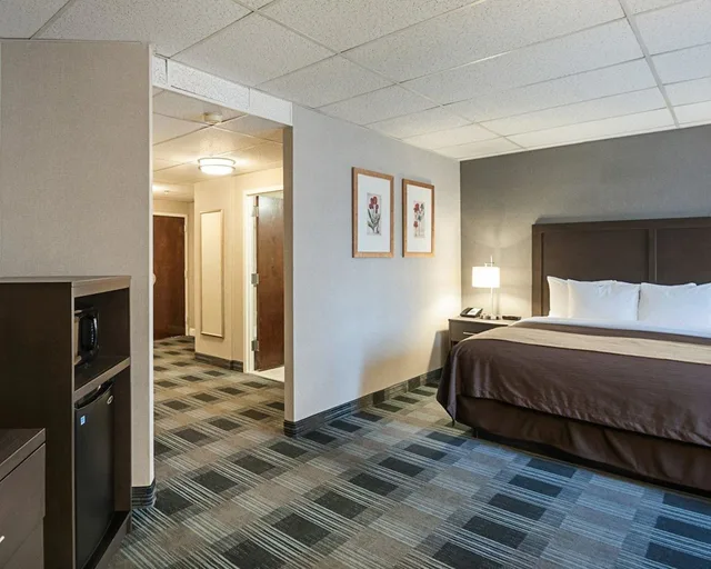 Courtyard, Standard, King Bed، Comfort Inn Ballston 1/8