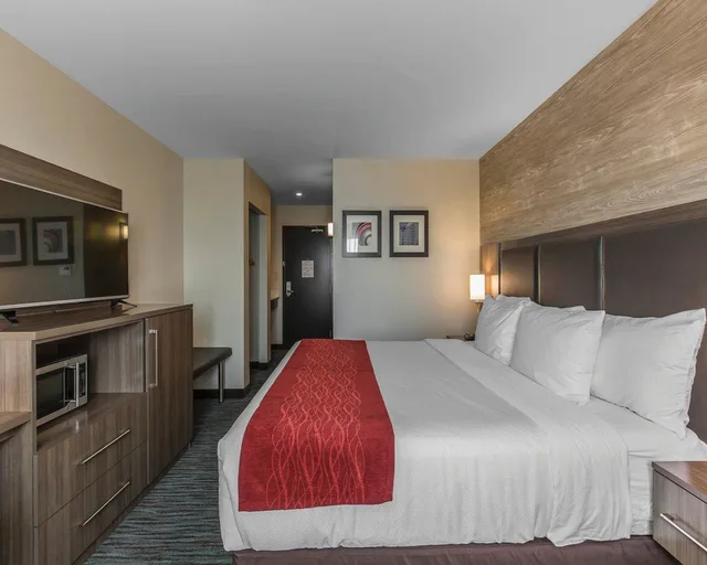 غرفة قياسية بسرير كينج، Comfort Inn & Suites Calgary Airport North 1/7