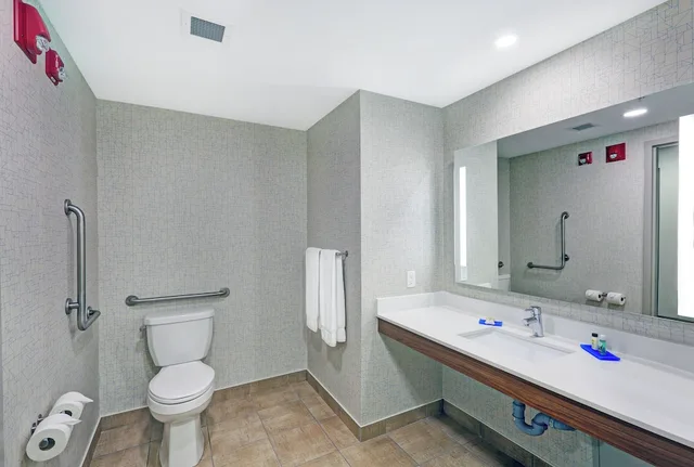 Standard, King Bed, Accessible, Holiday Inn Express Hotel Suites Woodstock South 2/5