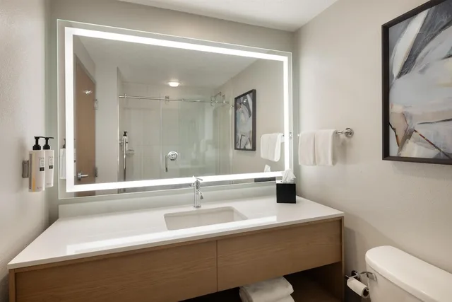 غرفة بسرير كينج مع أريكة لذوي الإعاقة، Embassy Suites by Hilton Lexington UK Coldstream 7/10