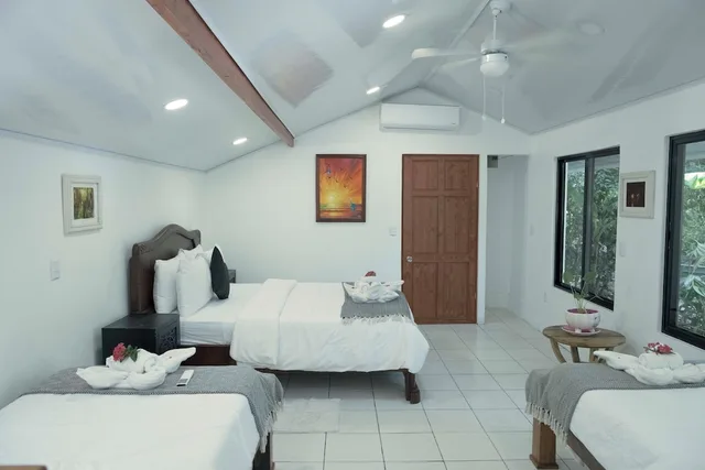 casita، Jungles Edge 3/4