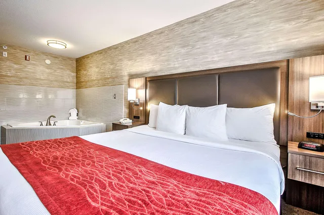 Room, King Bed, Comfort Inn and Suites South Calgary 1/3