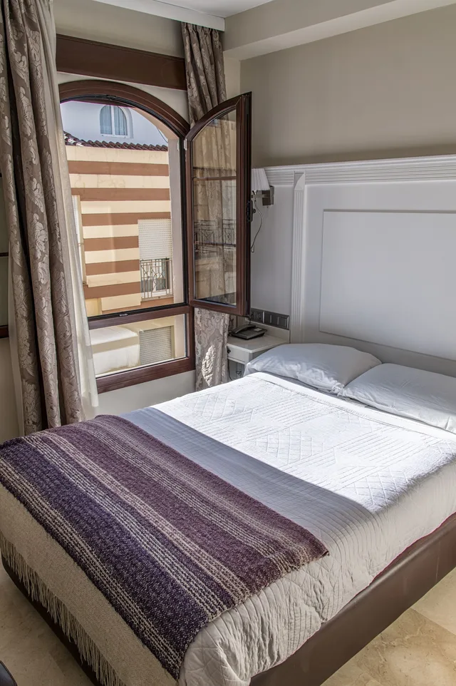 غرفة مفردة بسرير مزدوج، Hotel Sevilla 1/5