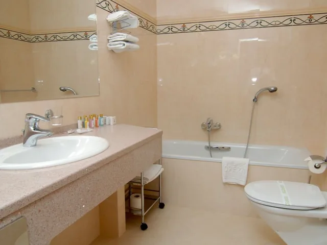 غرفة سوبيريور بسرير كوين، Hotel Opera Prague 6/8