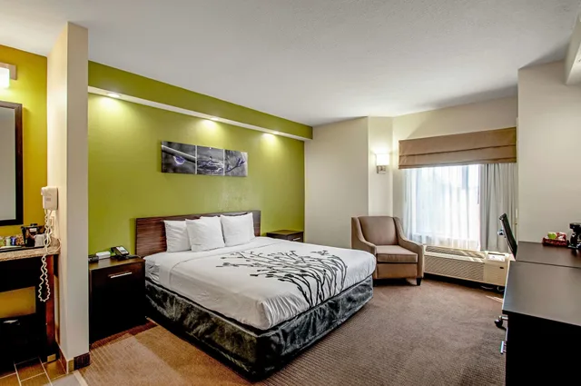 Standard, King Bed, Garner Hotel Frederick Southeast 3/5