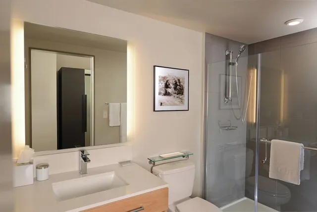 غرفة قياسية بسرير كينج لذوي الإعاقة، Hotel Indigo Denver Downtown - Union Station, an IHG Hotel 6/7