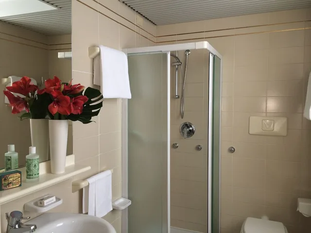 غرفة ديلوكس مزدوجة، Starhotels Cristallo Palace 2/2