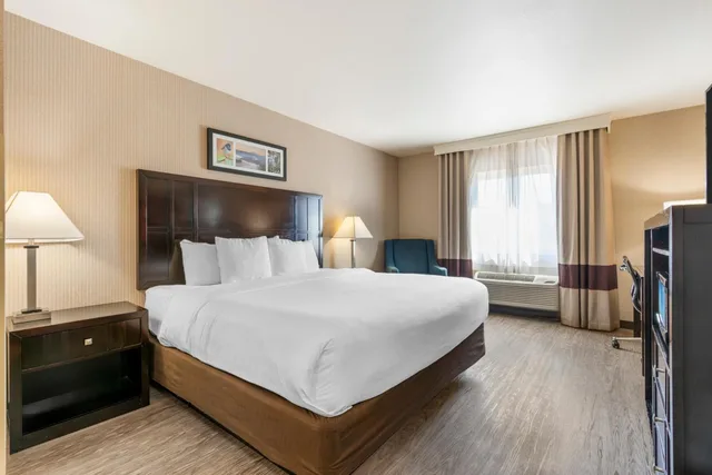 غرفة بسرير كينج يُسمح فيها بالحيوانات الأليفة، Comfort Inn Troutdale-Portland East 2/5