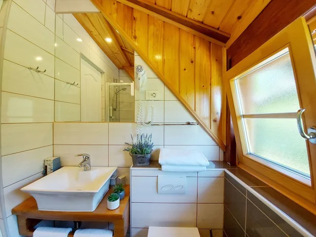 Roof, Triple, Single Bed، Plitvice Ethno House 4/4