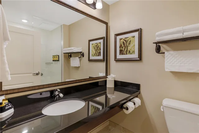 Room, King Bed, Accessible, Best Western Plus Hudson Hotel & Suites 3/3