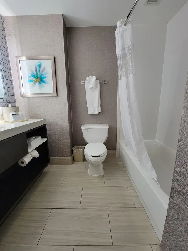 Standard, King Bed, Wingate by Wyndham Greenville Airport 3/4