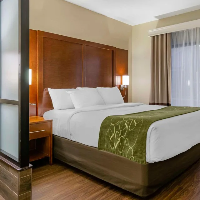 جناح بسرير كينج يُسمح فيها بالحيوانات الأليفة، Comfort Suites Helena Airport 3/5