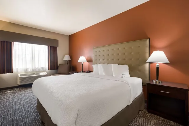غرفة قياسية بسرير كينج يُسمح فيها بالحيوانات الأليفة، Best Western Northwest Lodge 8/10