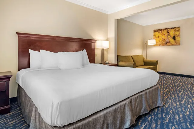 جناح بسرير كينج مع أريكة، Comfort Inn & Suites New Orleans Airport North 4/8