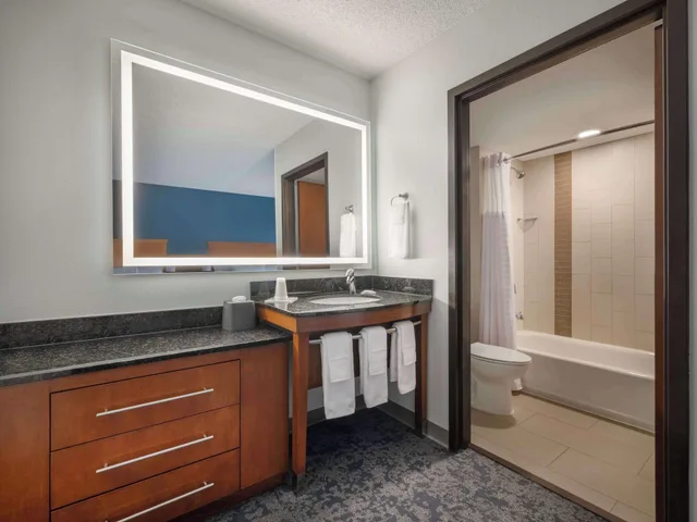 Specialty, Multiple Beds، Hyatt Place Tampa Busch Gardens 2/2