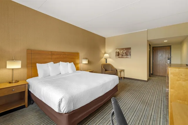غرفة قياسية بسرير كينج يُسمح فيها بالحيوانات الأليفة، Best Western Royal Plaza Hotel & Trade Center 1/7