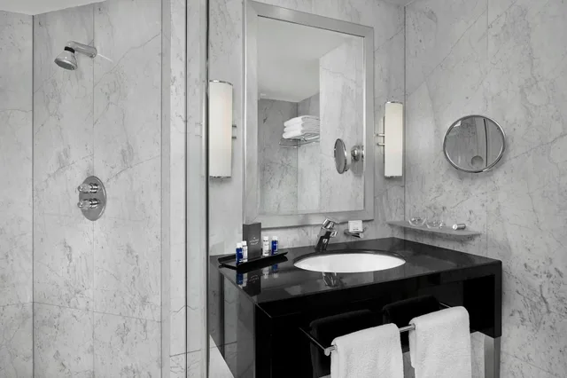 غرفة قياسية بسريرين منفصلين، The Park Tower Knightsbridge, a Luxury Collection Hotel, London 5/6