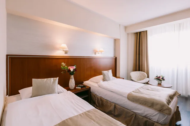 غرفة بزنس بسريرين منفصلين، Hotel Timisoara 2/5