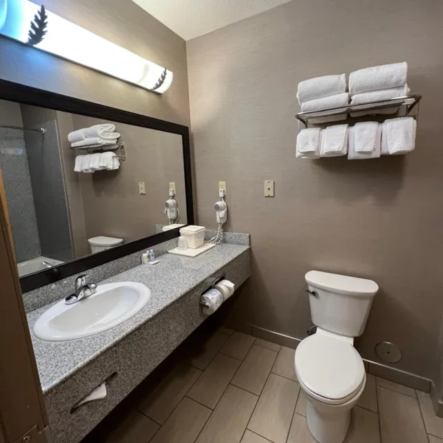 جناح بسرير كينج وسرير كوين، Comfort Suites Boise West Meridian 15/16