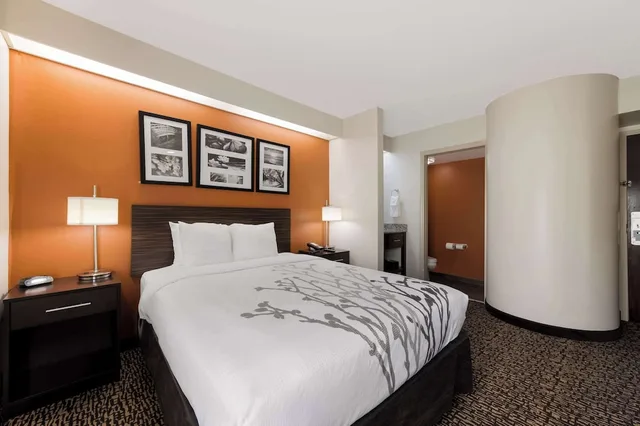 غرفة قياسية بسرير كوين، Sleep Inn Kernersville I-40 3/4