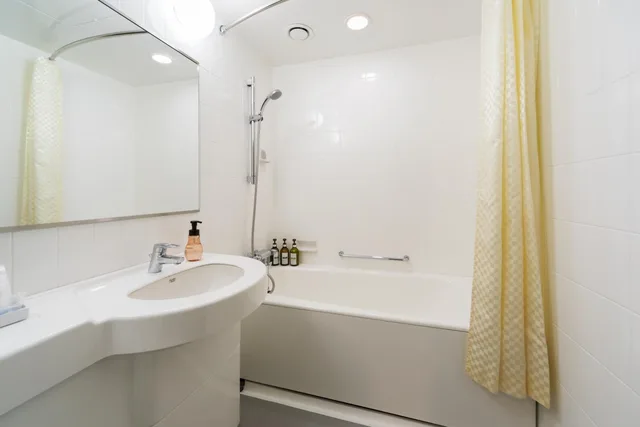 غرفة ديلوكس بسرير مزدوج للمدخنين، KOKO HOTEL Shinjuku Yotsuya 2/2