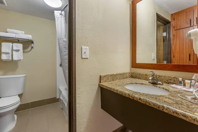 جناح ديلوكس بسرير كينج مع أريكة، Comfort Inn & Suites Phoenix North / Deer Valley 3/4