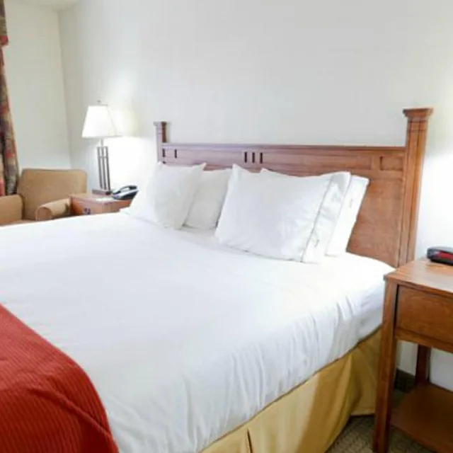 1 Bedroom, Suite, Holiday Inn Express Hotel And Suites Mattoon 4/7