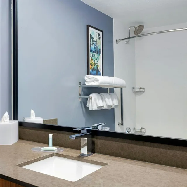 غرفة بسرير كينج بحوض استحمام لذوي الإعاقة، Fairfield Inn Suites San Diego Old Town 4/5